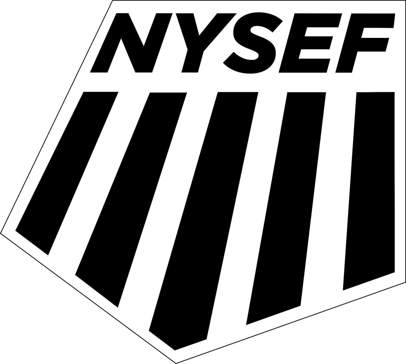 New York State Ski Educational Foundation